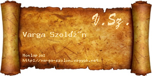 Varga Szolón névjegykártya